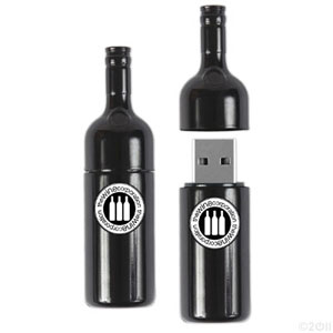 PZP901 Plastic USB Flash Drives